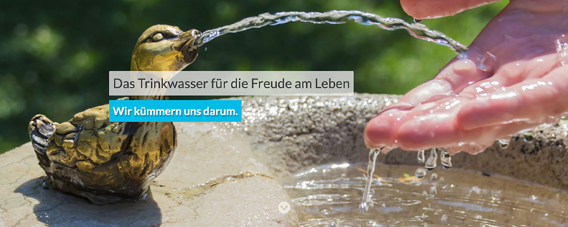 header1-trinkwasser